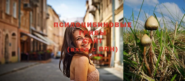 гидропоника Заволжье