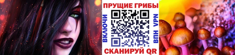 Купить где  Северодвинск  Псилоцибиновые грибы Psilocybe 